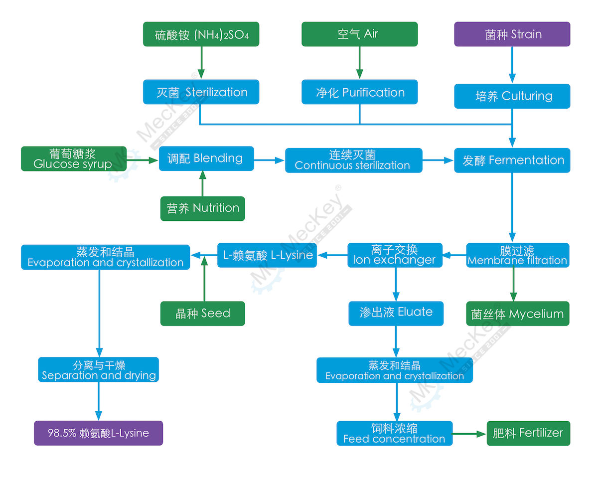 98.5% L-Lysine process description